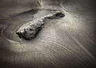 Erica Oram_Sunlight on Black Sand.jpg